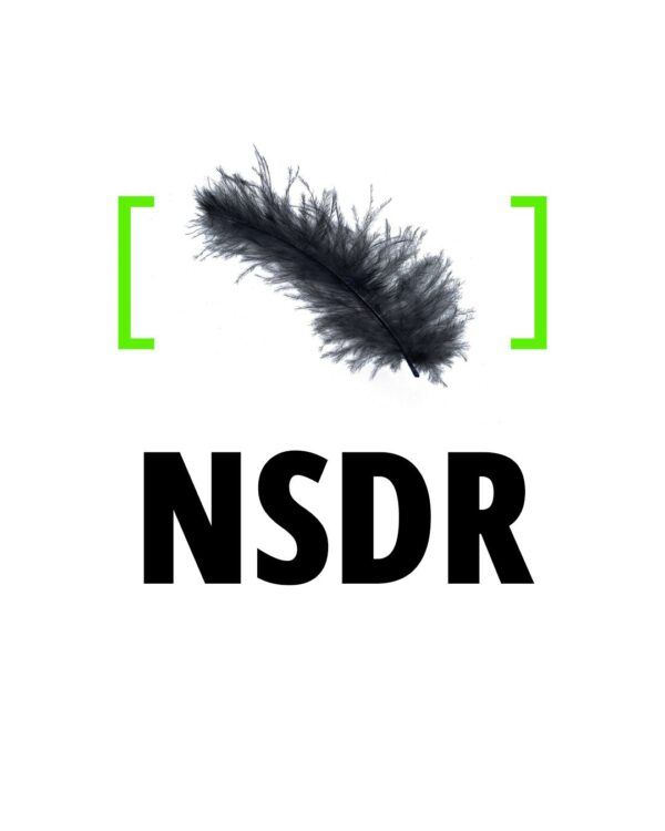 NSDR Session