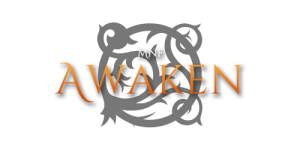 Values-Awaken1